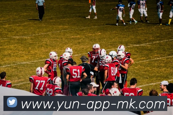 MK体育APP 封面图