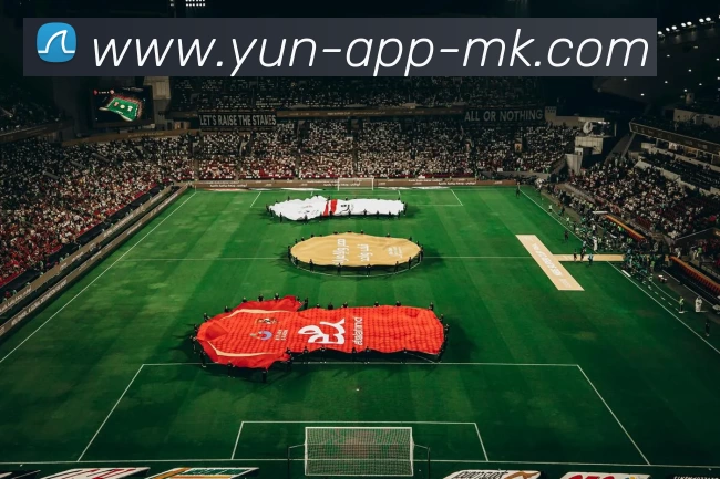 数据防护可视化